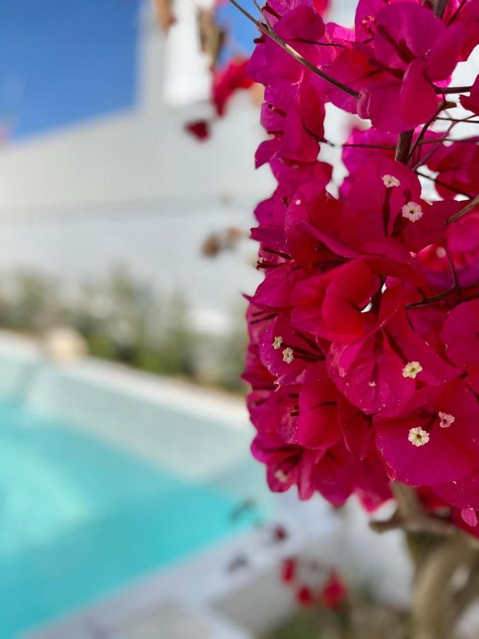 Villa Sal - Alvor Bagian luar foto